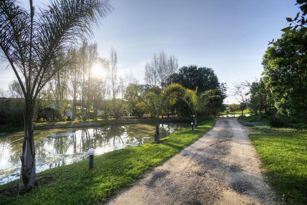 De Old Drift Guest Farm Villa Addo Ngoại thất bức ảnh