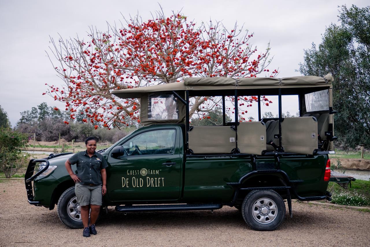 De Old Drift Guest Farm Villa Addo Ngoại thất bức ảnh